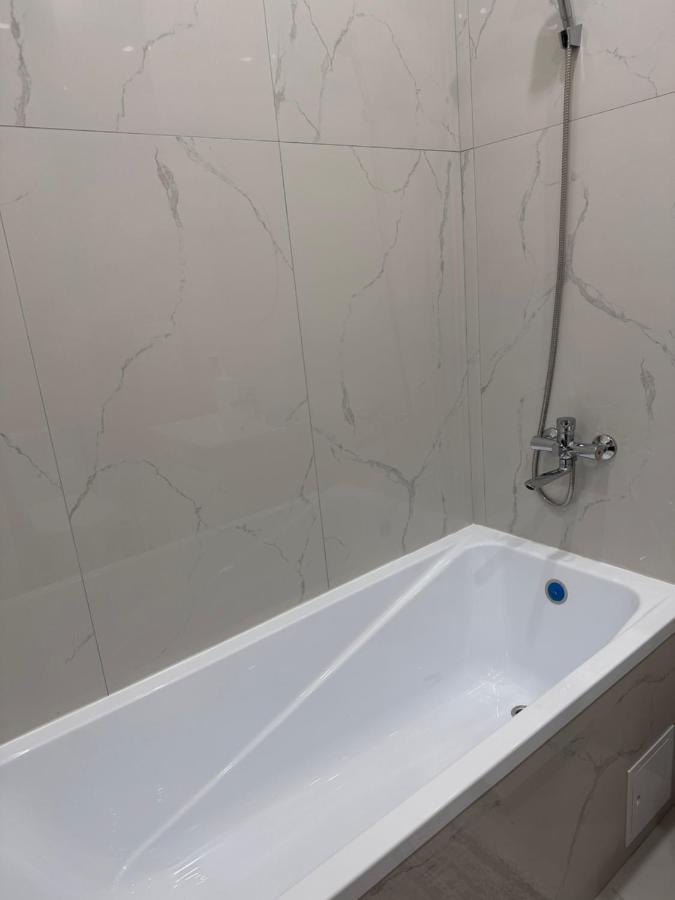 на левом берегу, ханшатыр, центр материнства и детства, нейрохирургия Apartment *